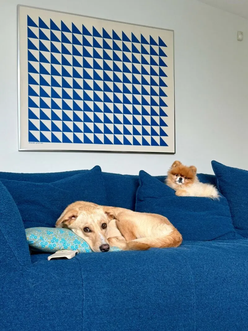 F5: Bryan Young on the Dominican Republic, Alexander Girard Artwork + More — 靈感參考圖片 2