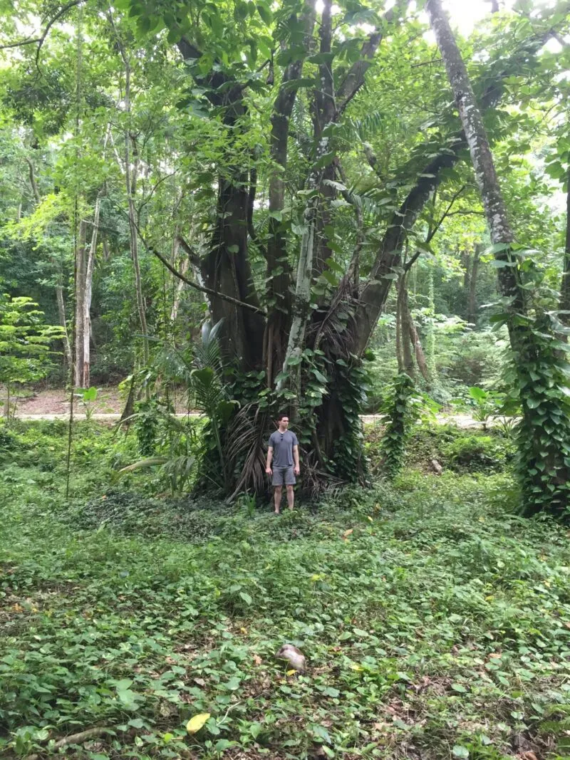 F5: Bryan Young on the Dominican Republic, Alexander Girard Artwork + More — 靈感參考圖片 5