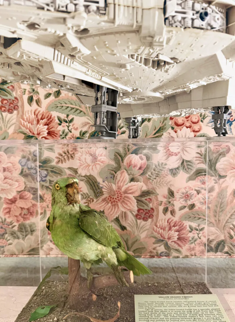 F5: Bryan Young on the Dominican Republic, Alexander Girard Artwork + More — 靈感參考圖片 4