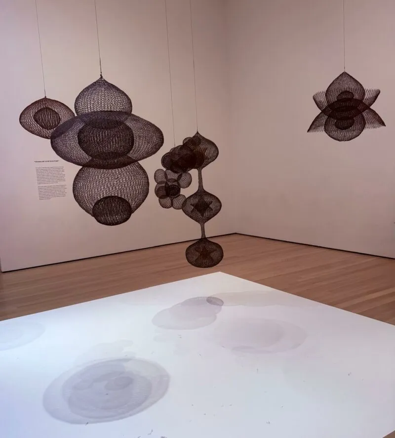 Suzie de Rohan Willner on Anni Albers, the Glass House, William Mitchell + More — 靈感參考圖片 4