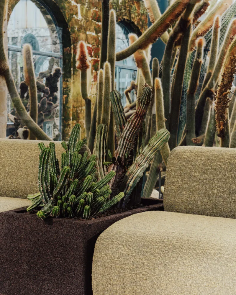 Saba’s Oasi Outdoor Seating Finds Its Natural Habitat — 靈感參考圖片 3